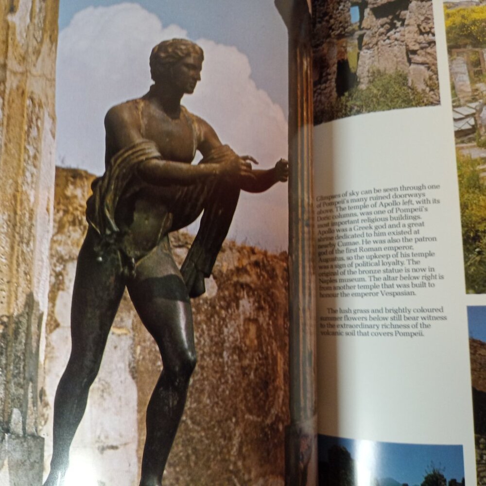 The Glory That Was Pompeii (HCDJ) Illustrated History Book by Patricia Vanags - Picture 2 of 8